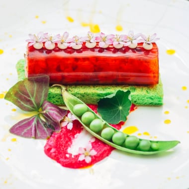 Vegetariano Contemporaneo