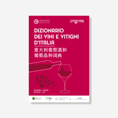 Dizionario dei Vini e...